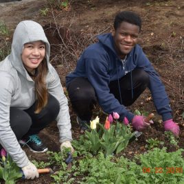 The Concord River Greenway relies on volunteer stewards for maintenance of its rain gardens and perennial beds, like these volunteers from Middlesex Community College.