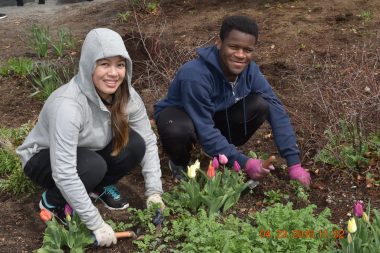 The Concord River Greenway relies on volunteer stewards for maintenance of its rain gardens and perennial beds, like these volunteers from Middlesex Community College.