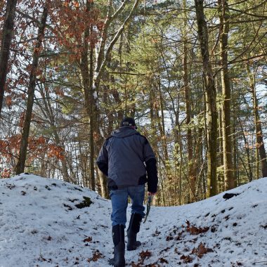 A land steward walks through West Meadow, which serves as a corridor to the Lowell-Dracut-Tyngsboro State Forest.