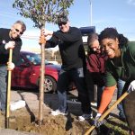 Lahey Health volunteers planting a tree in 2014.