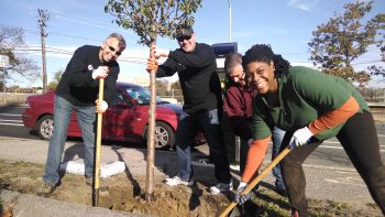 Lahey Health volunteers planting a tree in 2014.