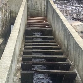 The baffles control the flow and turbulence of the water so that the fish are attracted to go up the ladder and around the dam.