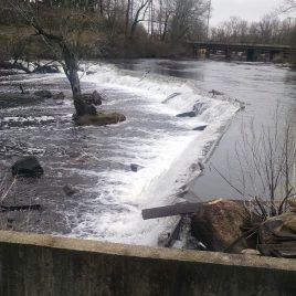 The view from the fish ladder is of Wamesit Falls, the Concord River Greenway, and above that Lowell Cemetery.