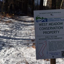 West Meadow trails in winter