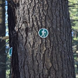 West Meadow trails are well marked.