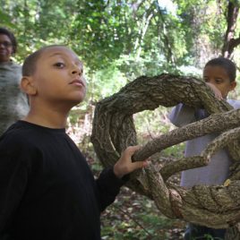 Nicholas Vitello, 9, left, and his brother Thomas, 8, of Havre de Grace, Maryland, who are visiting their grandmother Judy Buchanan of Lowell, left rear, examine a large invasive bittersweet vine which is strangling a tree, during a Lowell Parks & Conservation Trust tour of Hawk Valley Farm in Lowell. (SUN/Julia Malakie)