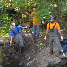 Motorola volunteers worked to clean up River Meadow Brook.