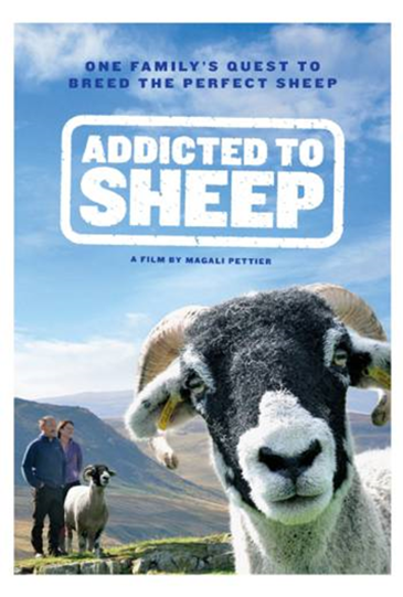 movie poster: Addicted to Sheep" two adults stand beside a black and white sheep with horns with mountains, in the front a sheep with white and black fur with horns close up