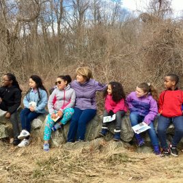 Students exploring the mystery of a stone wall while on a field trip at Hawk Valley Farm.