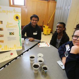Environmental Fair at Lowell High Freshman Academy sponsored by TEENS (Teens Representing Environmental Excellency & Stewardship), Lowell Parks & Conservation Trust, and Mass Audubon's Drumlin Wildlife Sanctuary. From left, Lowell High students Darren Sar, 14, Amina Bangura, 15, and Lyeeighla Weatherspoon, 14, who had been planting sunflower seeds in paper cups. (SUN/Julia Malakie)
