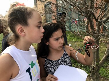 two girls looking at bud on tree, in schoolyard