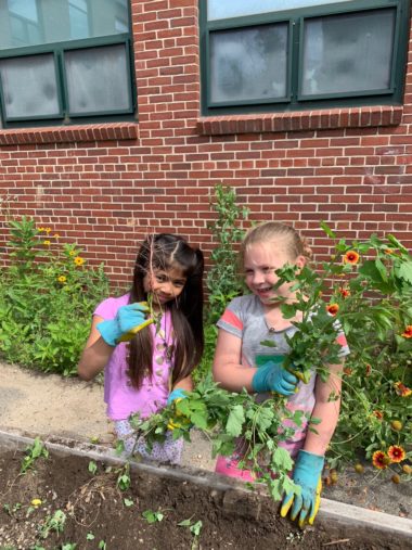 two young girls hold up weeds from their schoolyard garden, brick building in background