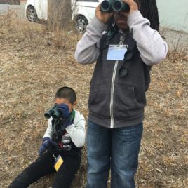 Exploring with binoculars at the Bartlett School