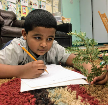 a young boy studies an evergreen branch as he draws the branch, laying down on classroom carpet with nature journal