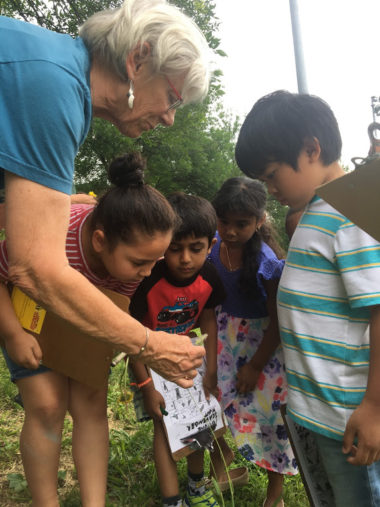 4 young students gather with a teacher and study a natural item