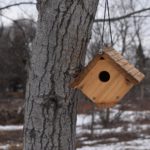 a Bird House hanging on a tree at hawk valley farm