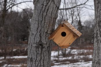 a Bird House hanging on a tree at hawk valley farm
