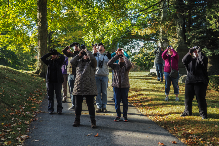 people looking at sky with binoculars outside