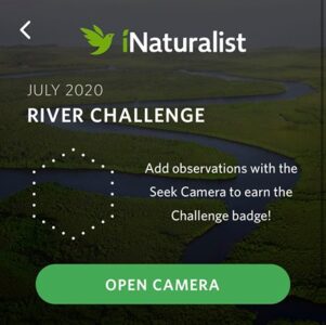 july 2020 river challenge seek