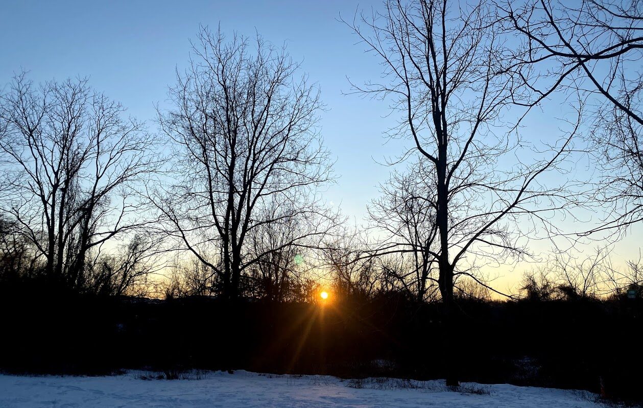 sunrise at hawk valley farm during winter solstice bare trees in snow