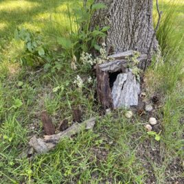 Make-your-own natural fairy house event