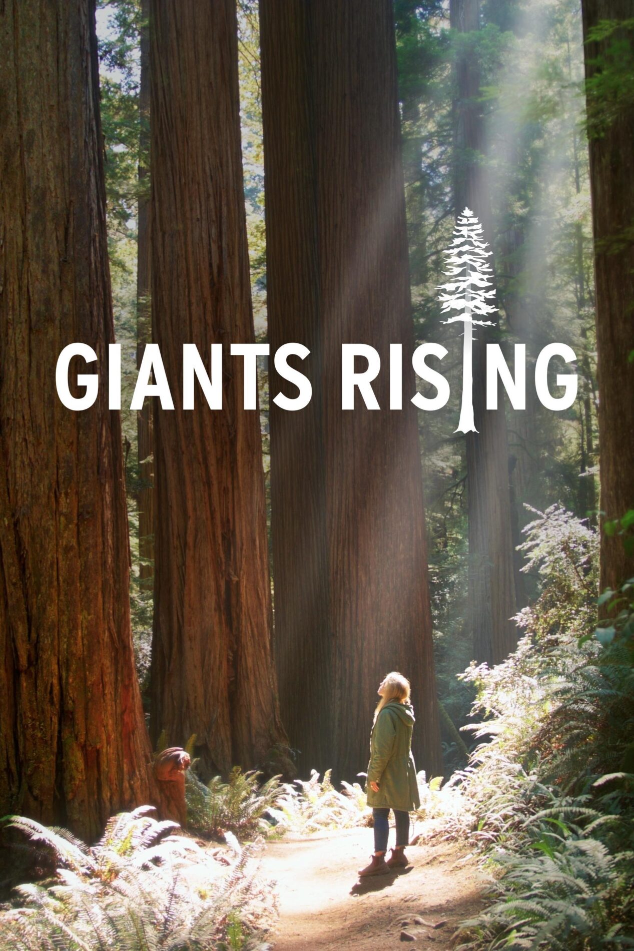 A person standing among tall redwood trees with sunlight filtering through the forest, accompanied by the text 'GIANTS RISING'.