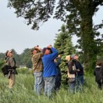 Group of people observing birds in a natural setting, looking upwards towards trees with binoculars and cameras.