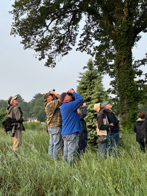 Group of people observing birds in a natural setting, looking upwards towards trees with binoculars and cameras.